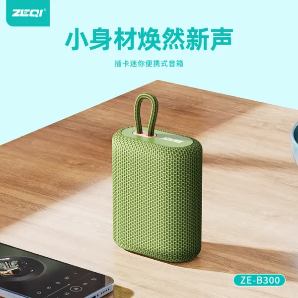 ZE-B300