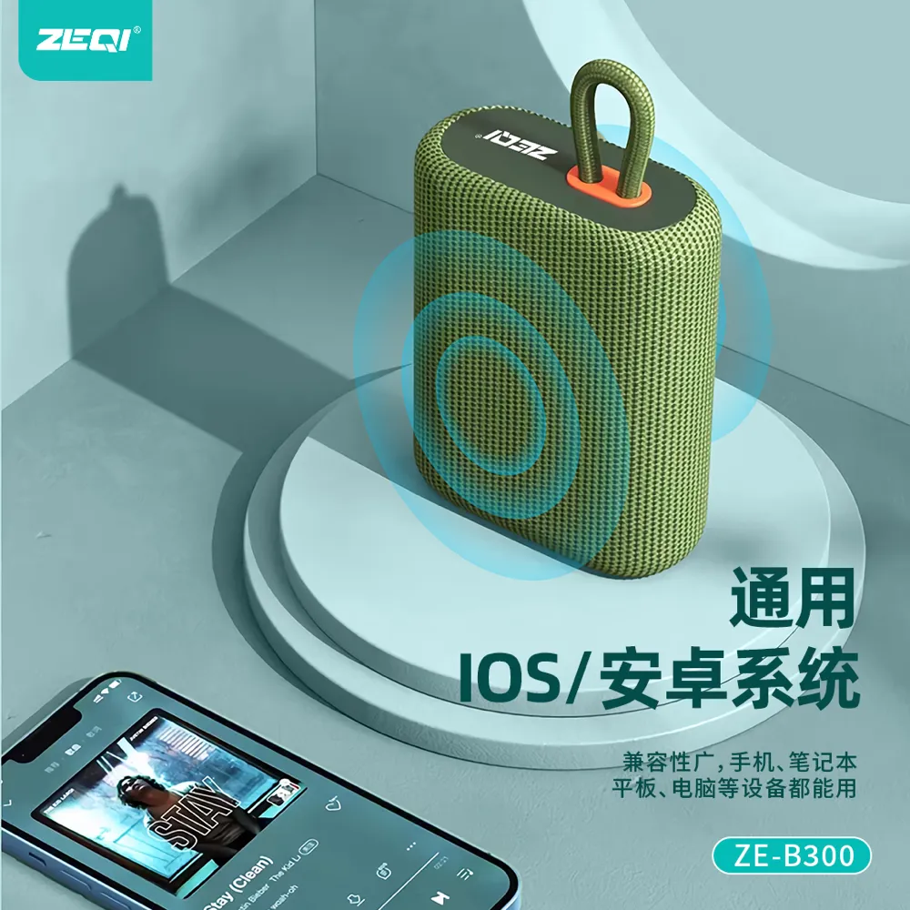 ZE-B300 音频设备 功能展示