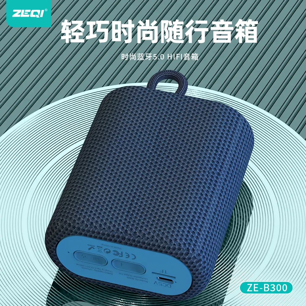 ZE-B300 音频设备 使用场景