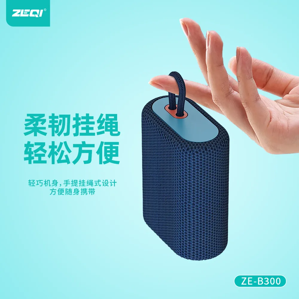 ZE-B300 音频设备 产品细节