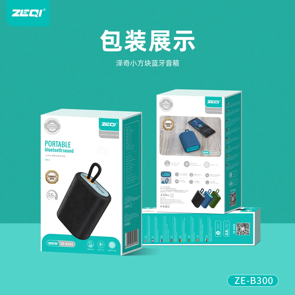 ZE-B300 音频设备 包装展示