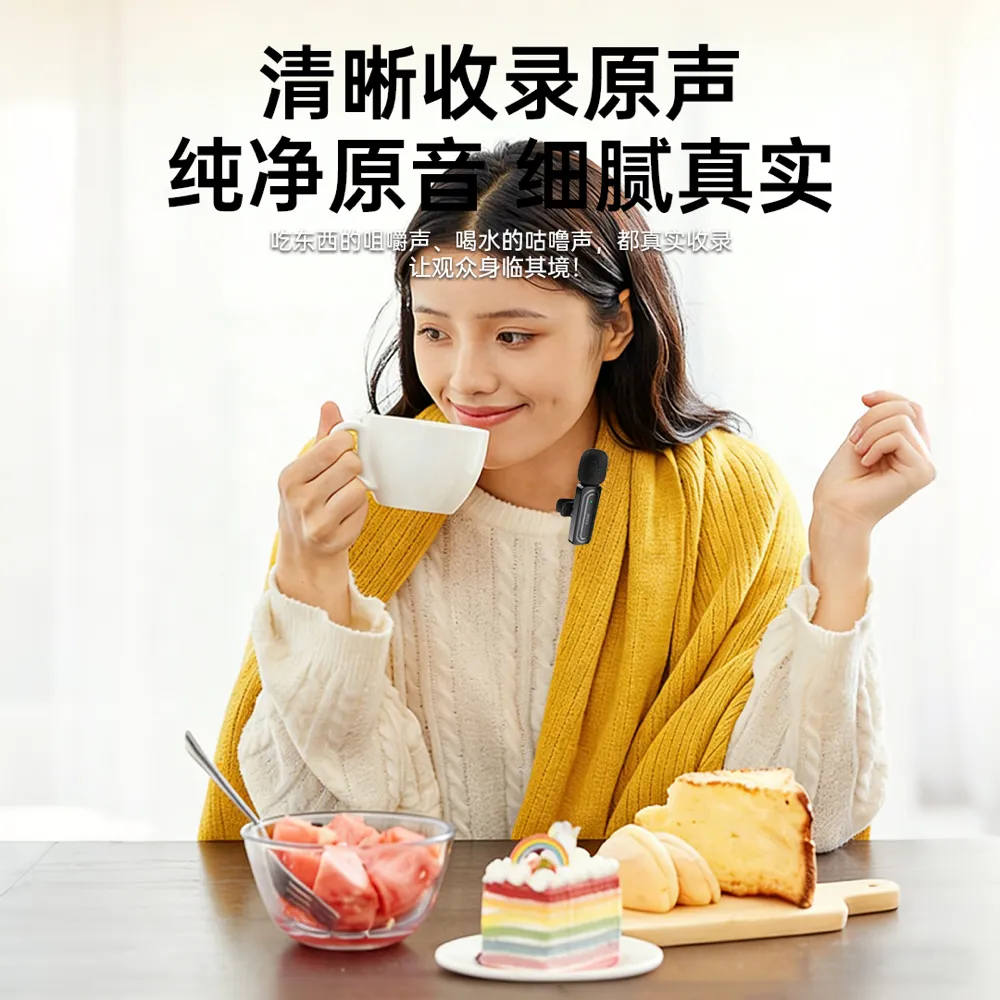 ZE-F701 麦克风品质工艺
