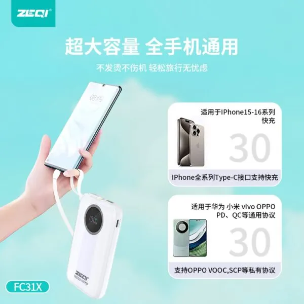 ZE-FC31X